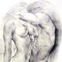 15th Congress of The European Society for Sexual Medicine